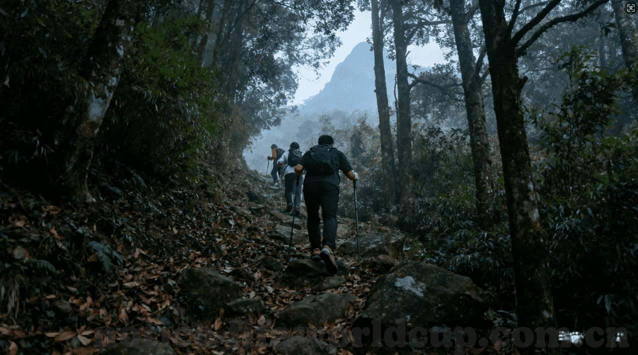 开云体育官方下载平台-开云体育官方下载平台的优势与特点